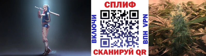 дарнет шоп Приволжский Марихуана семена